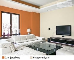 Jedynka z&nbsp;nowymi zestawieniami kolorów na 2016